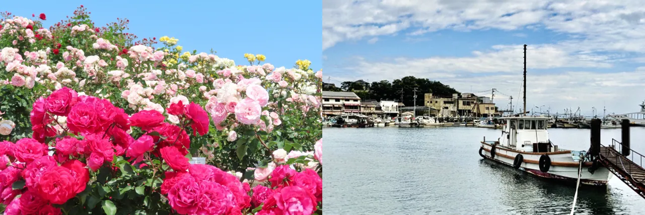 広島県福山市｜バラの町・鞆の浦｜Japanese College 福山